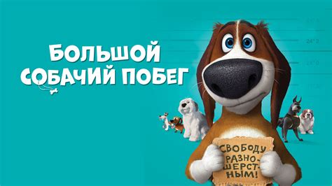 «Большой собачий побег » 
 2024.04.20 11:27 смотреть в высоком hd 1080p качестве онлайн бесплатно
